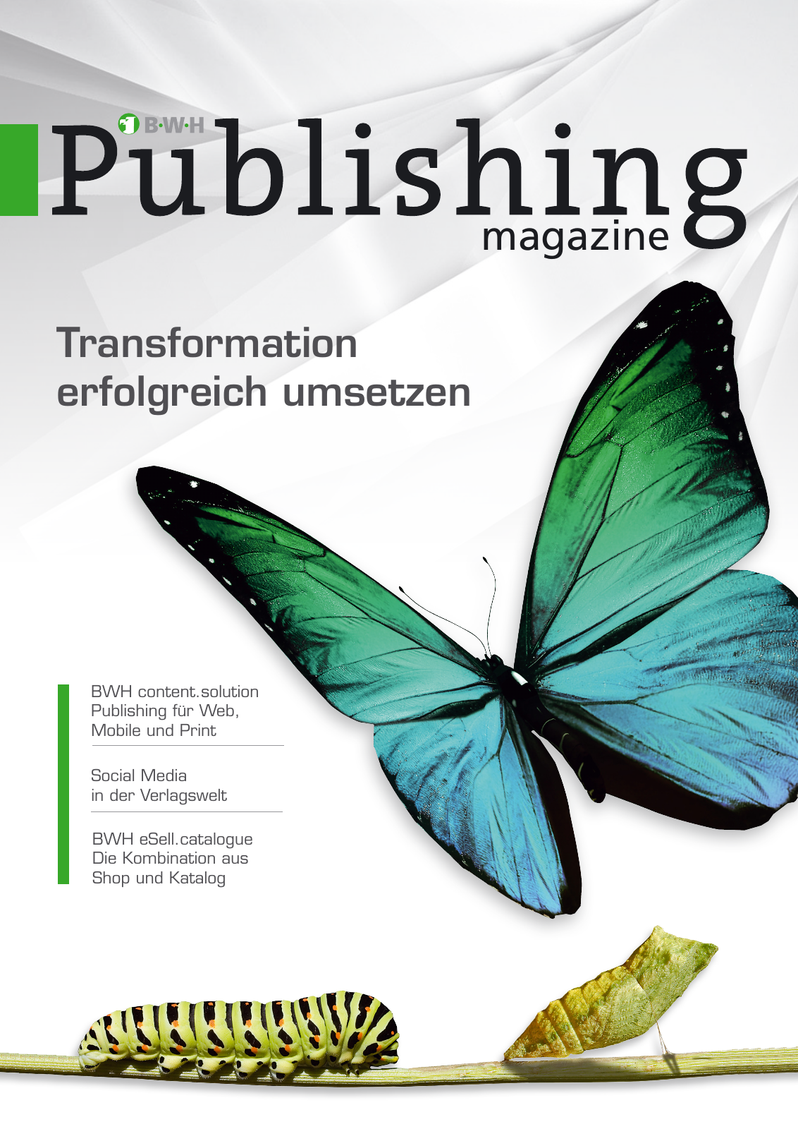 Vorschau BWH // Publishing Magazine 2013 Seite 1