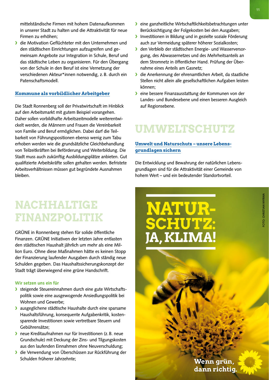 Vorschau Grüne Ronnenberg: Wahlprogramm 2016 Seite 11