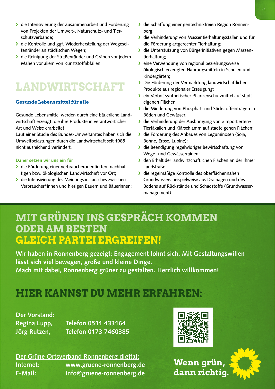 Vorschau Grüne Ronnenberg: Wahlprogramm 2016 Seite 13